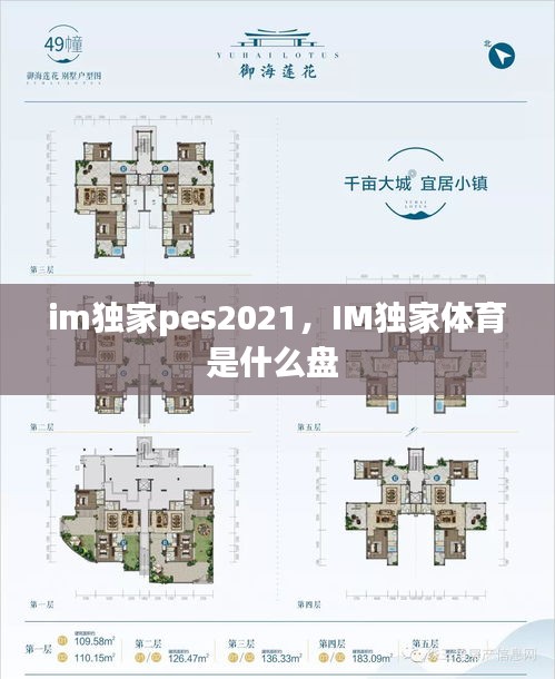 im獨家pes2021，IM獨家體育是什么盤 