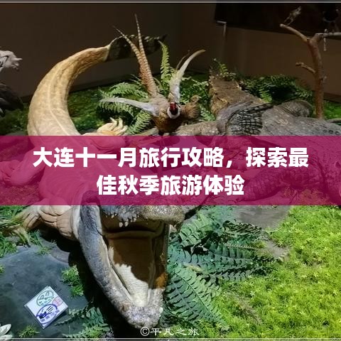 大連十一月旅行攻略，探索最佳秋季旅游體驗(yàn)