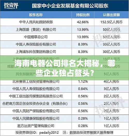 海南電器公司排名大揭秘，哪些企業(yè)獨(dú)占鰲頭？