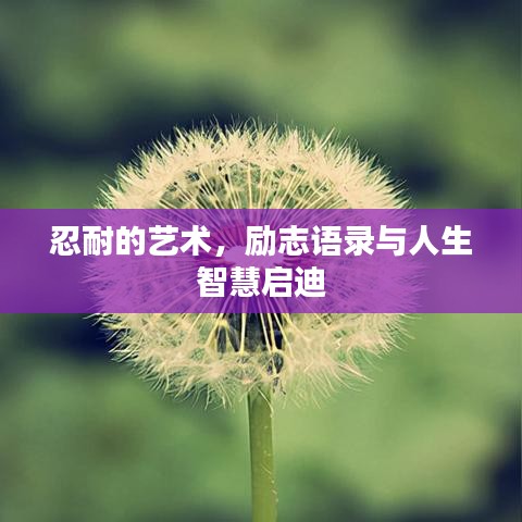 忍耐的藝術，勵志語錄與人生智慧啟迪