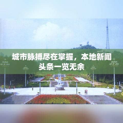 城市脈搏盡在掌握，本地新聞頭條一覽無余