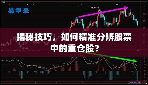 揭秘技巧，如何精準(zhǔn)分辨股票中的重倉股？