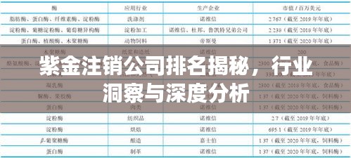 紫金注銷公司排名揭秘，行業(yè)洞察與深度分析