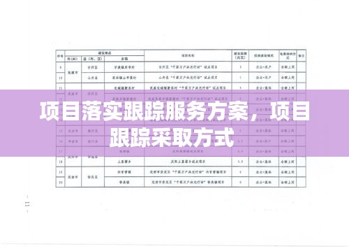 項目落實跟蹤服務(wù)方案，項目跟蹤采取方式 