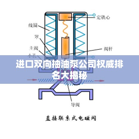 進(jìn)口雙向抽油泵公司權(quán)威排名大揭秘