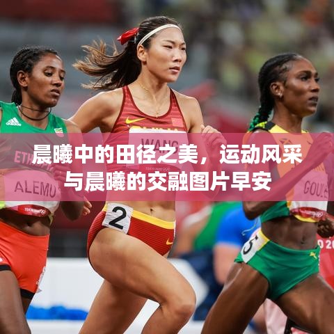 晨曦中的田徑之美，運動風(fēng)采與晨曦的交融圖片早安