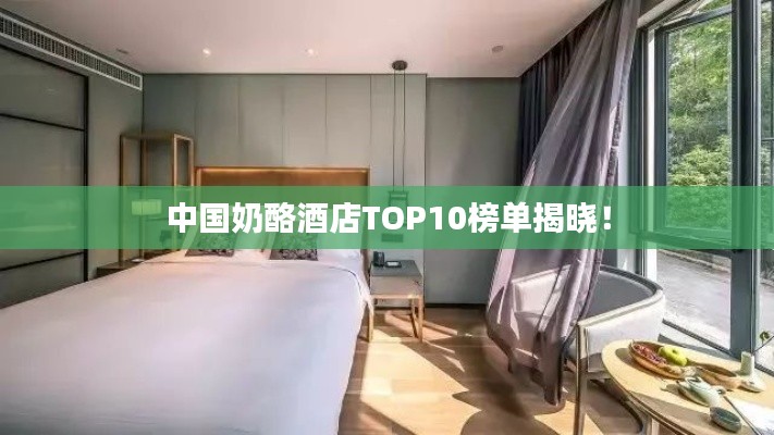 中國奶酪酒店TOP10榜單揭曉！