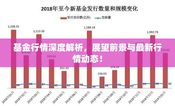 基金行情深度解析，展望前景與最新行情動態(tài)！