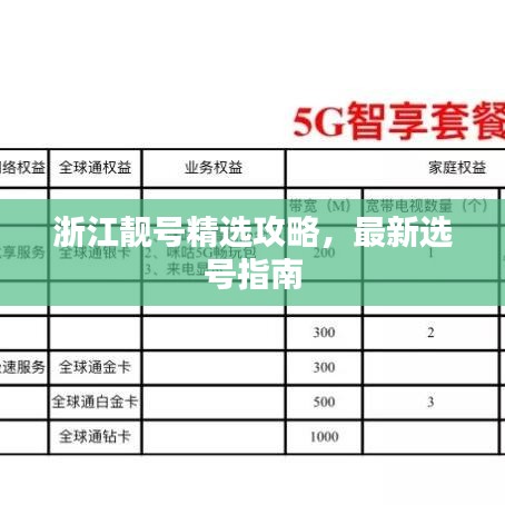 浙江靚號(hào)精選攻略，最新選號(hào)指南