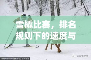 雪橇比賽，排名規(guī)則下的速度與激情角逐