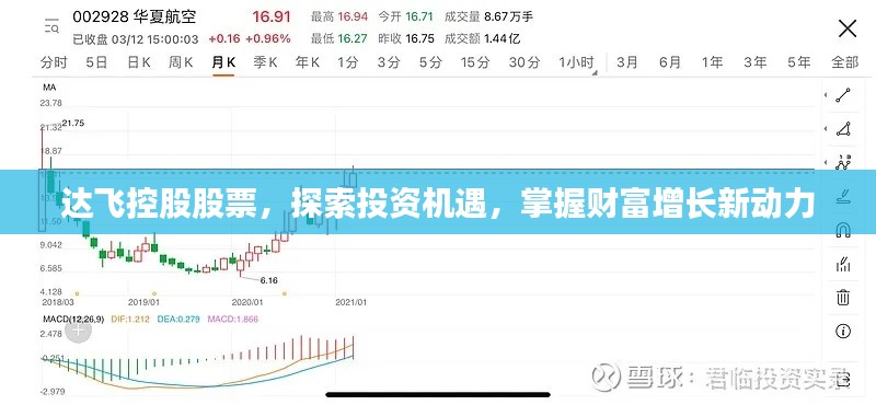 達飛控股股票，探索投資機遇，掌握財富增長新動力