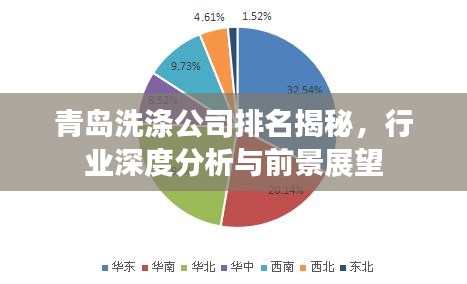 青島洗滌公司排名揭秘，行業(yè)深度分析與前景展望