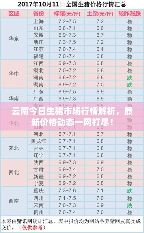 云南今日生豬市場行情解析，最新價格動態(tài)一網(wǎng)打盡！