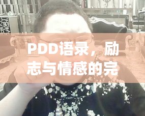 PDD語錄，勵志與情感的完美交融之道