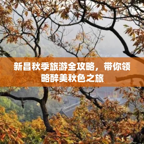 新昌秋季旅游全攻略，帶你領略醉美秋色之旅