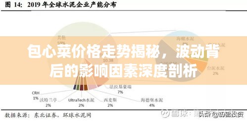 包心菜價格走勢揭秘，波動背后的影響因素深度剖析