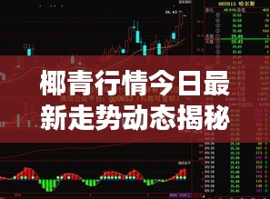 椰青行情今日最新走勢動態(tài)揭秘