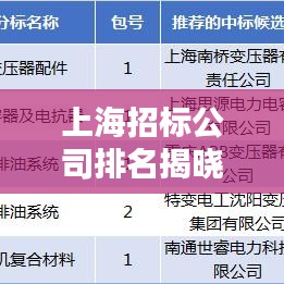 上海招標公司排名揭曉，行業(yè)影響力大揭秘！