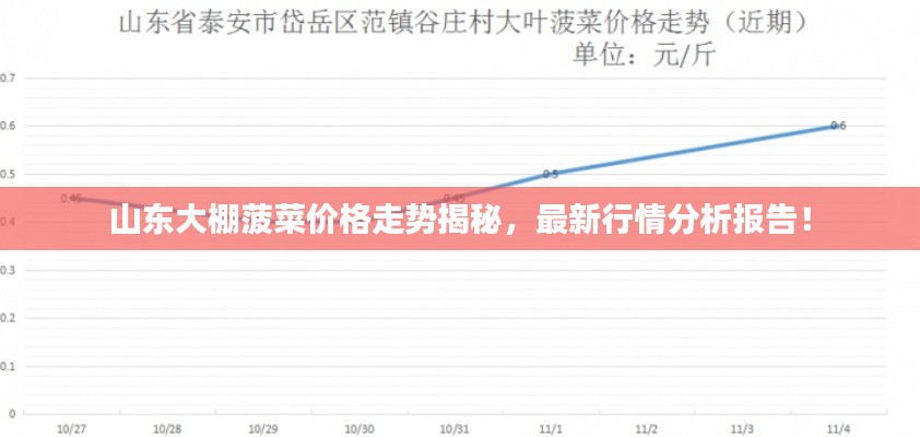 山東大棚菠菜價格走勢揭秘，最新行情分析報告！