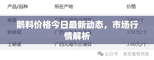 鵝料價(jià)格今日最新動態(tài)，市場行情解析