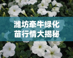 濰坊牽牛綠化苗行情大揭秘，最新價格分析與趨勢預(yù)測