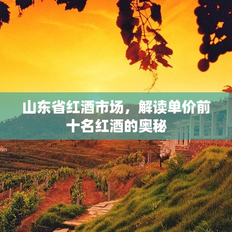 山東省紅酒市場(chǎng)，解讀單價(jià)前十名紅酒的奧秘