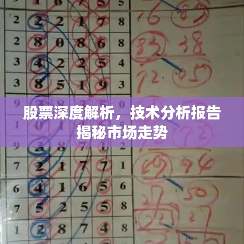 股票深度解析，技術(shù)分析報(bào)告揭秘市場走勢