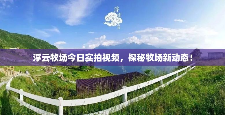 浮云牧場(chǎng)今日實(shí)拍視頻，探秘牧場(chǎng)新動(dòng)態(tài)！