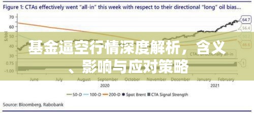 基金逼空行情深度解析，含義、影響與應(yīng)對策略