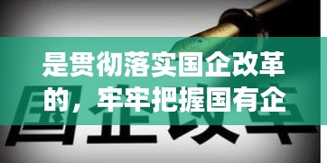 是貫徹落實(shí)國(guó)企改革的，牢牢把握國(guó)有企業(yè)改革的正確方向 