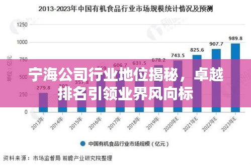 寧海公司行業(yè)地位揭秘，卓越排名引領(lǐng)業(yè)界風(fēng)向標(biāo)