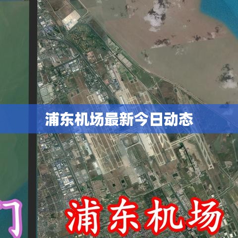 浦東機場最新今日動態(tài)