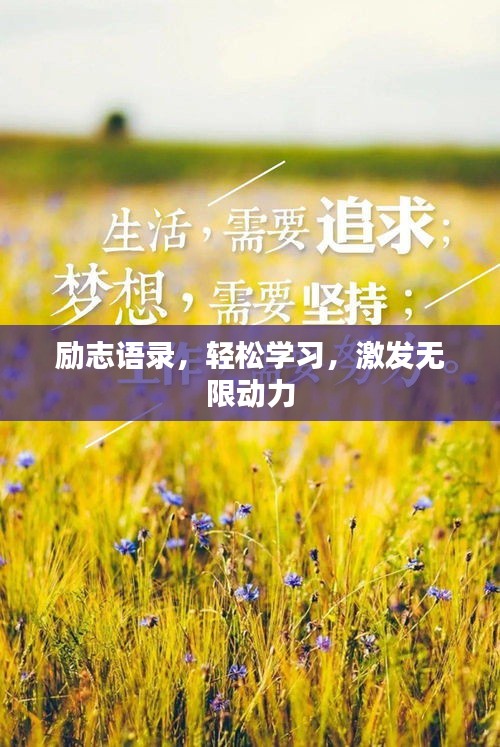 勵志語錄，輕松學習，激發(fā)無限動力