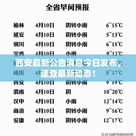 西安最新公告消息今日發(fā)布，速查最新動態(tài)！