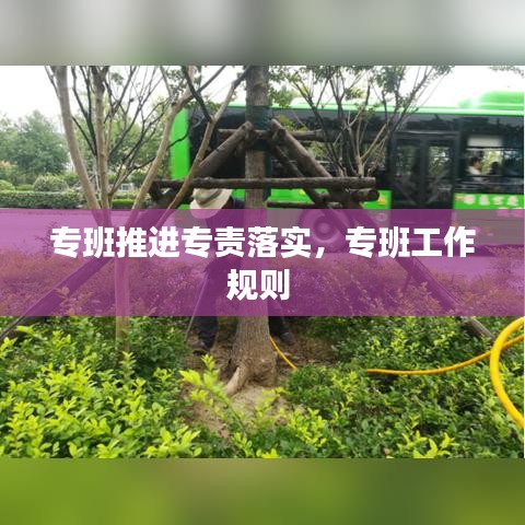 專班推進專責落實，專班工作規(guī)則 