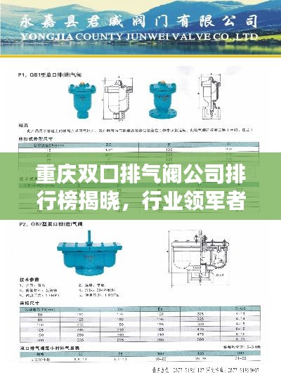 重慶雙口排氣閥公司排行榜揭曉，行業(yè)領(lǐng)軍者榜單！