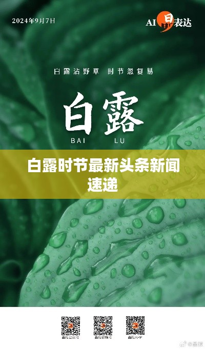 白露時節(jié)最新頭條新聞速遞