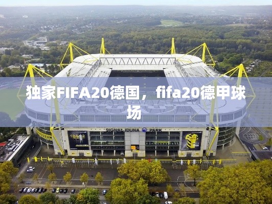 獨家FIFA20德國，fifa20德甲球場 