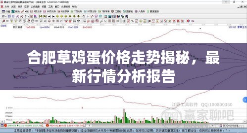 合肥草雞蛋價格走勢揭秘，最新行情分析報告