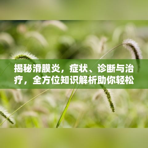 揭秘滑膜炎，癥狀、診斷與治療，全方位知識(shí)解析助你輕松應(yīng)對(duì)！