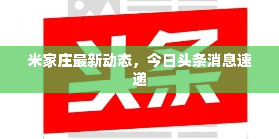 米家莊最新動(dòng)態(tài)，今日頭條消息速遞