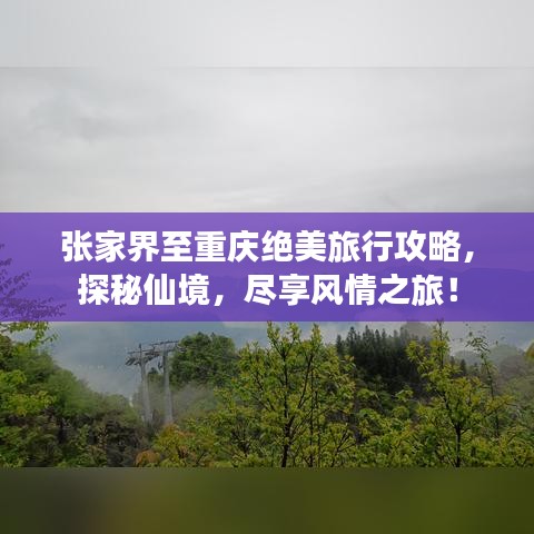 張家界至重慶絕美旅行攻略，探秘仙境，盡享風情之旅！