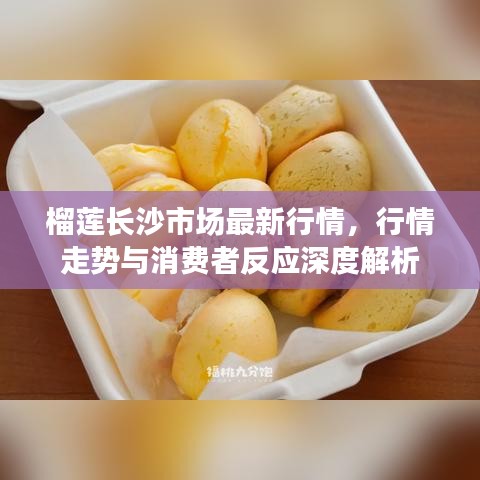 噩噩渾渾