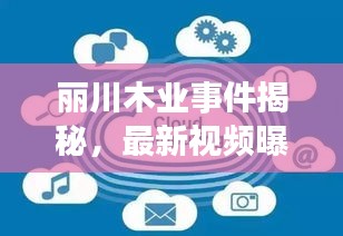 麗川木業(yè)事件揭秘，最新視頻曝光，深度探究背后真相