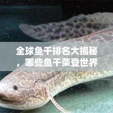 全球魚(yú)干排名大揭秘，哪些魚(yú)干榮登世界之最榜單？