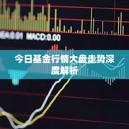 今日基金行情大盤走勢深度解析