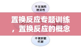 置換反應(yīng)專(zhuān)題訓(xùn)練，置換反應(yīng)的概念和例子 