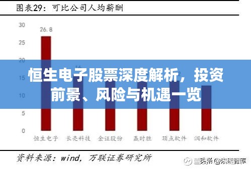 恒生電子股票深度解析，投資前景、風(fēng)險(xiǎn)與機(jī)遇一覽