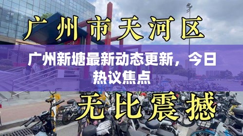 廣州新塘最新動態(tài)更新，今日熱議焦點