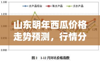 山東明年西瓜價格走勢預測，行情分析與展望